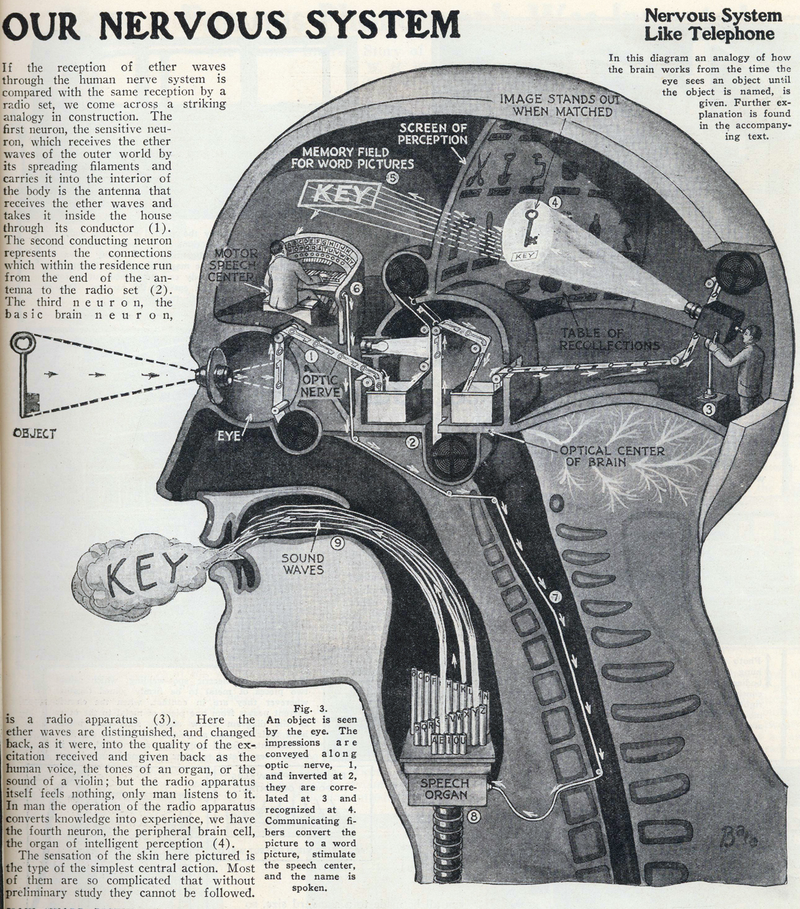 Illustration for article titled Your Body, the Machine... Literally
